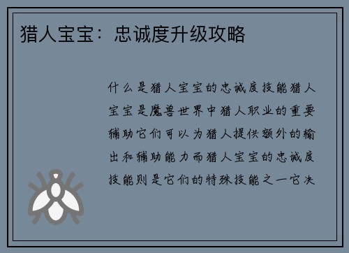 猎人宝宝：忠诚度升级攻略